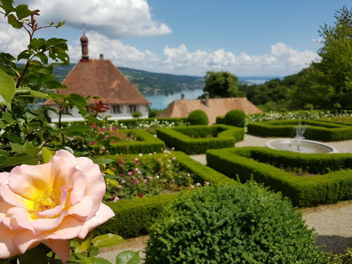 Schloss Freudenfels Eschenz Bagian luar foto