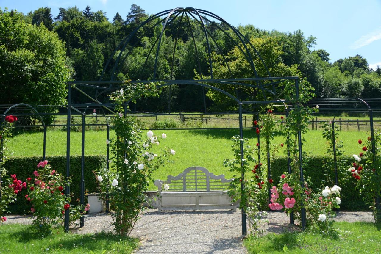 Schloss Freudenfels Eschenz Bagian luar foto