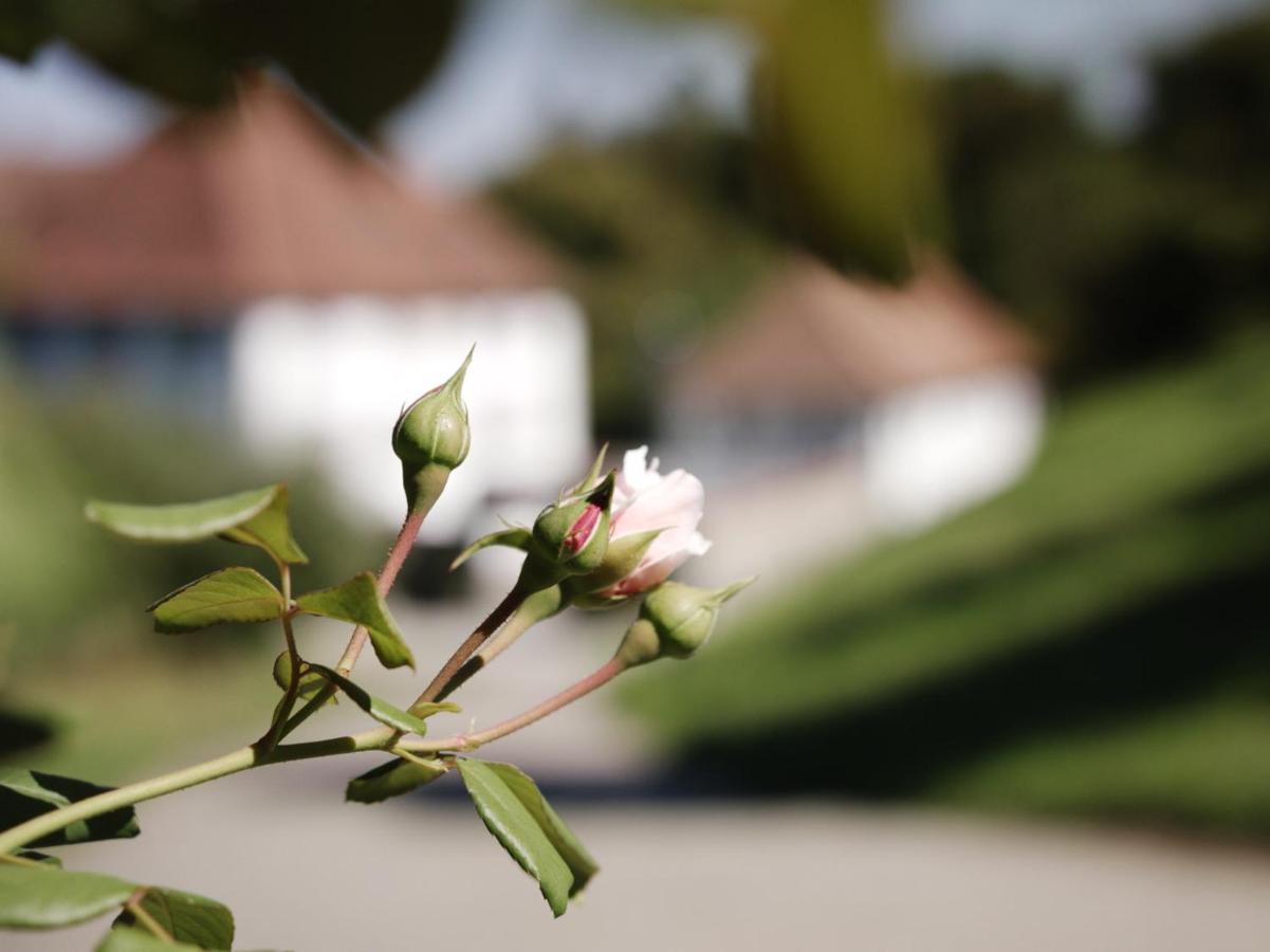 Schloss Freudenfels Eschenz Bagian luar foto